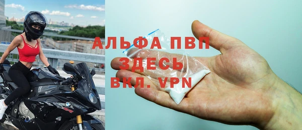 прущие грибы Бугульма