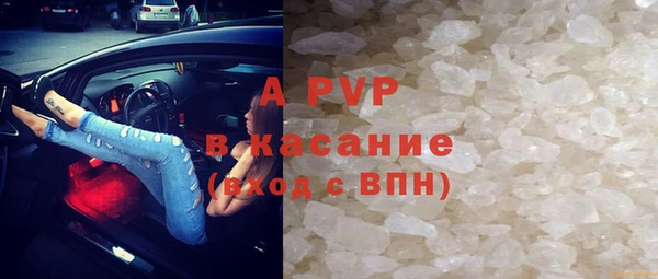 прущие грибы Бугульма