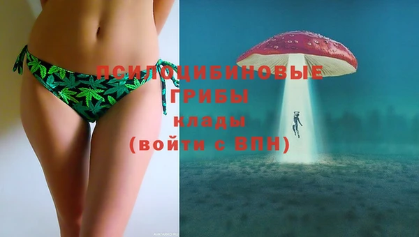 прущие грибы Бугульма