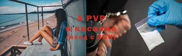 прущие грибы Бугульма