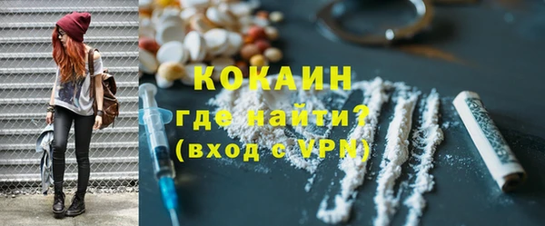прущие грибы Бугульма