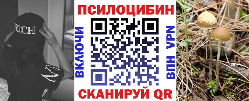 darknet состав  Надым  Галлюциногенные грибы Cubensis  сколько стоит 